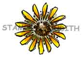 F-321-HK Lg. Sunflower Top